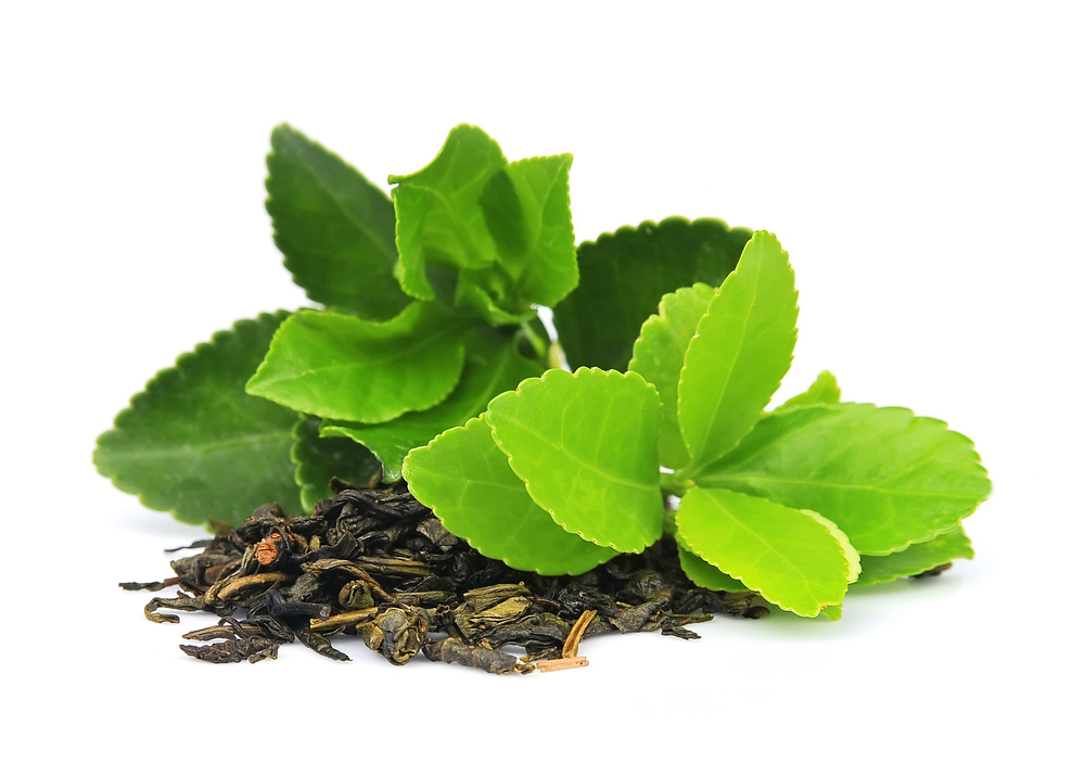 green tea leaves