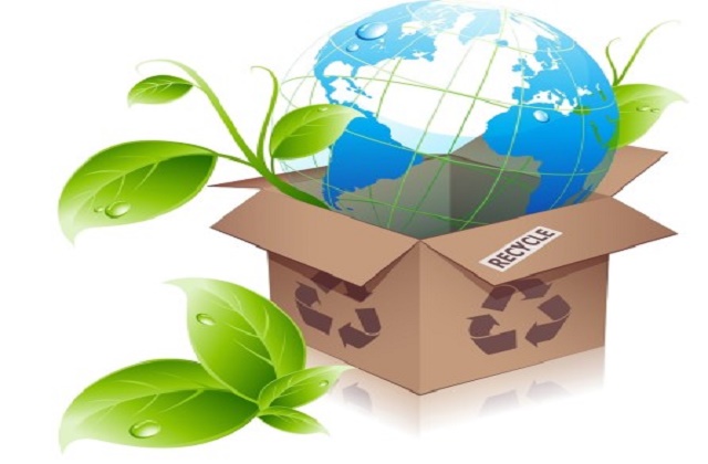 eco-friendly white boxes