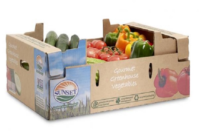 durable food boxes