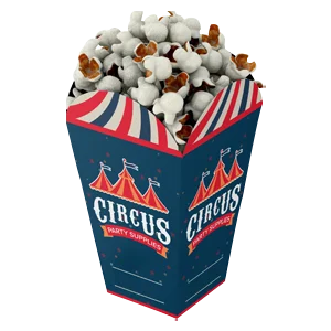 Popcorn Boxes