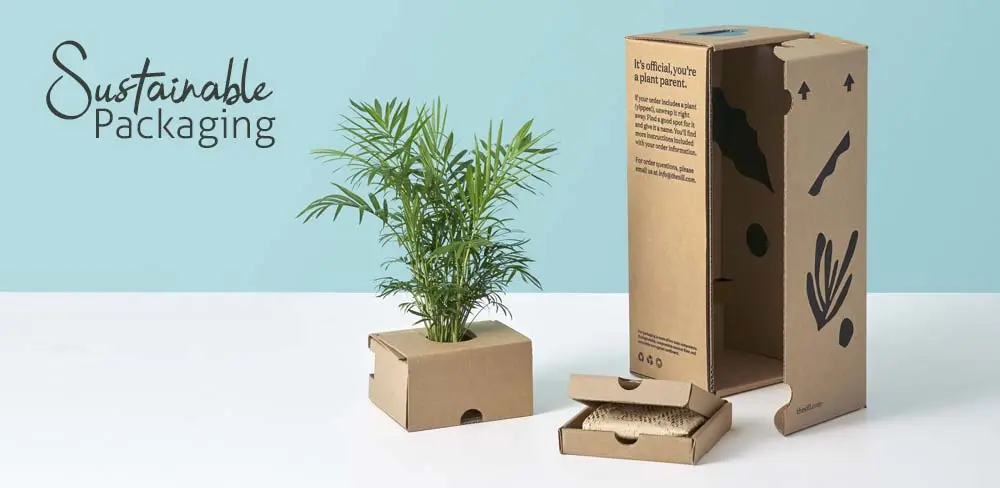 sustainable packaging for small businesses